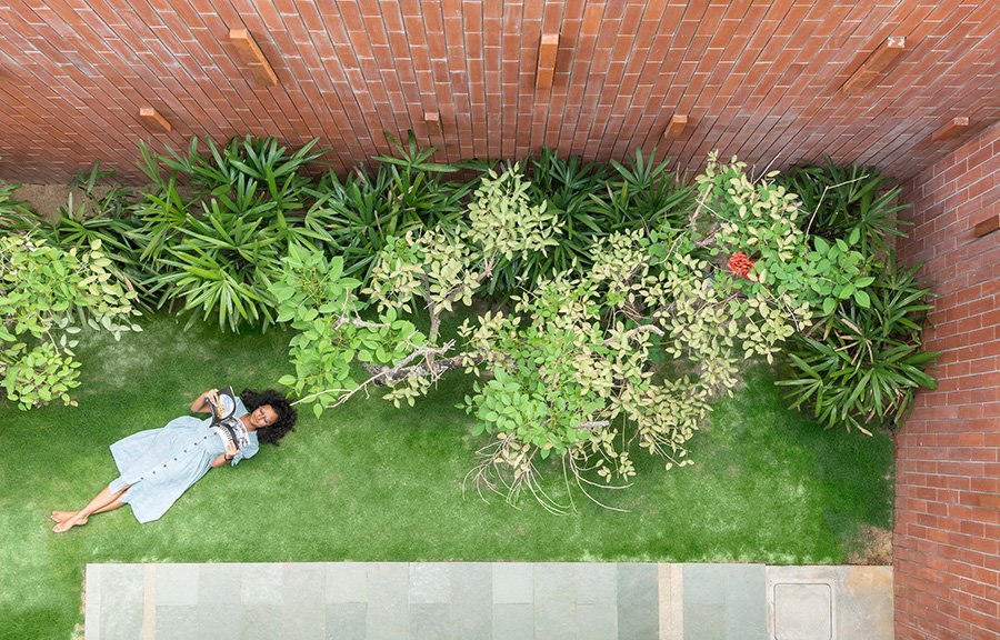 big-small-house-design-rear-lawn